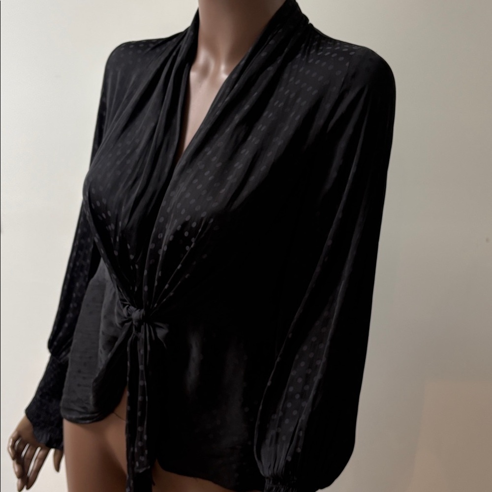 Current Air Black Tie-Front Sheer Blouse - Picture 7 of 11